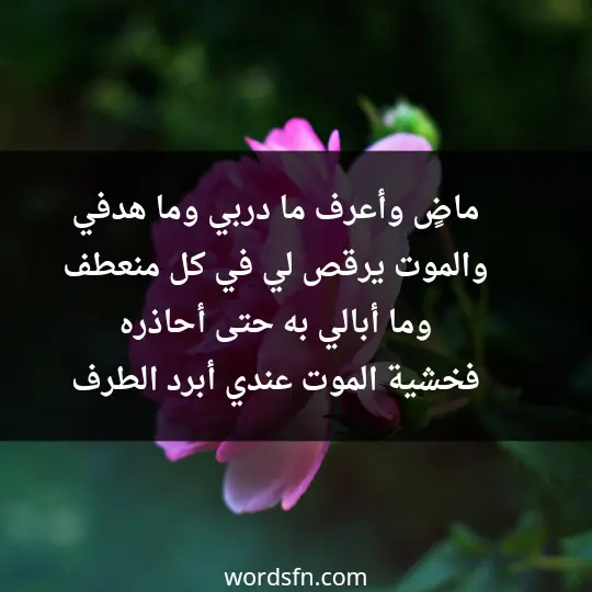 ماضٍ ، وأعرف ما دربي وما هدفي والموت يرقص لي في كل منعطف وما أبالي به حتى أحاذره فخشية الموت عندي أبرد الطرف - فن العبارات ماضٍ ، وأعرف ما دربي وما هدفي والموت يرقص لي في كل منعطف وما أبالي به حتى أحاذره فخشية الموت عندي أبرد الطرف