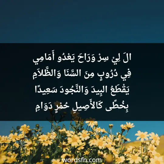 الَ لِيْ: سِرْ، وَرَاحَ يَعْدُو أَمَامِي فِي دُرُوبٍ مِنَ السَّنَا وَالظَّلاَمِ يَقْطَعُ البِيدَ، وَالنَّجُودَ سَعِيدًا بِخُطًى كَالأَصِيلِ، حُمْرٍ دَوَامِ - فن العبارات الَ لِيْ: سِرْ، وَرَاحَ يَعْدُو أَمَامِي فِي دُرُوبٍ مِنَ السَّنَا وَالظَّلاَمِ يَقْطَعُ البِيدَ، وَالنَّجُودَ سَعِيدًا بِخُطًى كَالأَصِيلِ، حُمْرٍ دَوَامِ