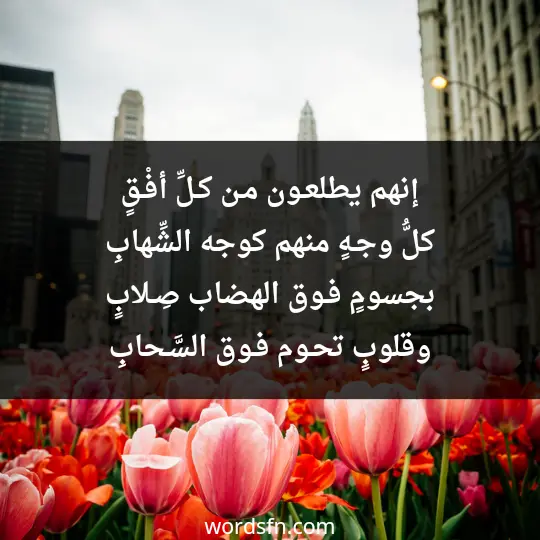 إنهم يطلعـون مـن كـلِّ أفْـقٍ كلُّ وجـهٍ منهم كوجه الشِّهابِ بجسومٍ فـوق الهضاب صِـلابٍ وقلوبٍ تحـوم فـوق السَّـحابِ - فن العبارات إنهم يطلعـون مـن كـلِّ أفْـقٍ كلُّ وجـهٍ منهم كوجه الشِّهابِ بجسومٍ فـوق الهضاب صِـلابٍ وقلوبٍ تحـوم فـوق السَّـحابِ