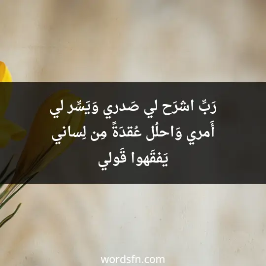 رَبِّ اشرَح لي صَدري*وَيَسِّر لي أَمري*وَاحلُل عُقدَةً مِن لِساني*يَفقَهوا قَولي - فن العبارات رَبِّ اشرَح لي صَدري*وَيَسِّر لي أَمري*وَاحلُل عُقدَةً مِن لِساني*يَفقَهوا قَولي
