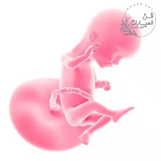 قصص واقعية عن اخطاء السونار الرباعي في التشوهات