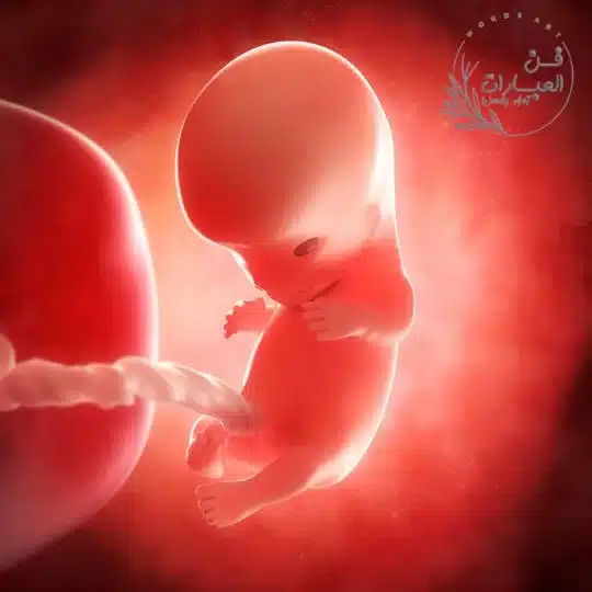 قصة عن أخطاء السونار الرباعي 