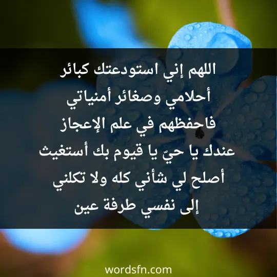 اللهم إني استودعتك كبائر أحلامي، وصغائر أمنياتي، فاحفظهم في علم الإعجاز عندك. يا حيّ يا قيوم بك أستغيث، أصلح لي شأني كله، ولا تكلني إلى نفسي طرفة عين
