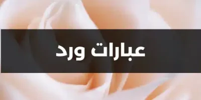 عبارات ورد