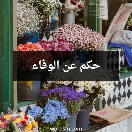 حكم عن الوفاء