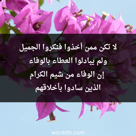 لا تكن ممن أخذوا فنكروا الجميل ولم يبادلوا العطاء بالوفاء، إن الوفاء من شيم الكرام الذين سادوا بأخلاقهم - فن العبارات لا تكن ممن أخذوا فنكروا الجميل ولم يبادلوا العطاء بالوفاء، إن الوفاء من شيم الكرام الذين سادوا بأخلاقهم