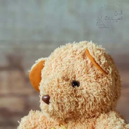 بوستات حزينة واتس بالعامية