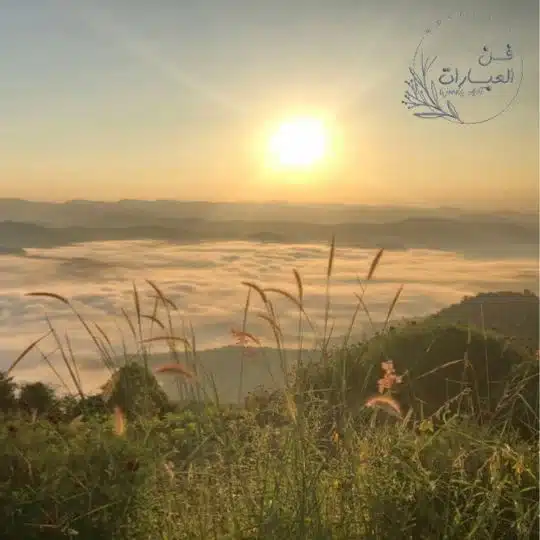 خواطر الصباح