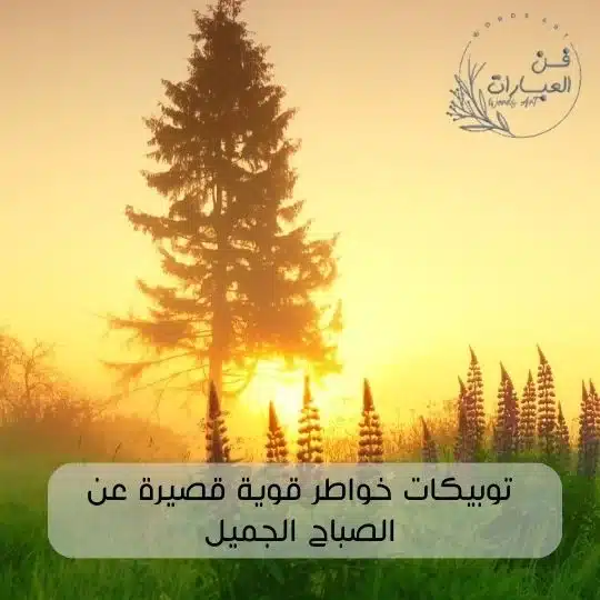 توبيكات خواطر قوية قصيرة عن الصباح الجميل