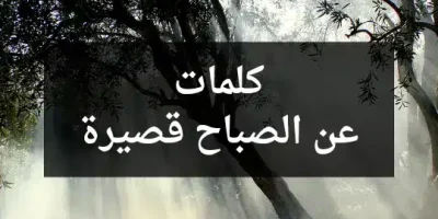 كلمات عن الصباح قصيرة