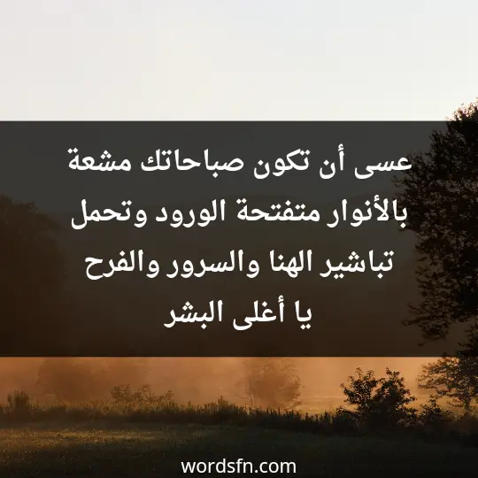 عسى أن تكون صباحاتك مشعة بالأنوار متفتحة الورود وتحمل تباشير الهنا والسرور والفرح يا أغلى البشر