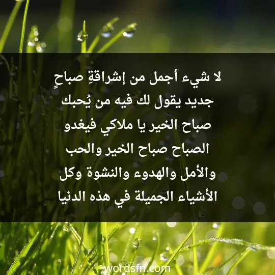 لا شيء أجمل من إشراقةِ صباحٍ جديد، يقول لك فيه من يُحبك صباح الخير يا ملاكي، فيغدو الصباح صباح الخير والحب والأمل والهدوء والنشوة وكل الأشياء الجميلة في هذه الدنيا