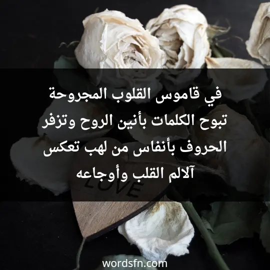 في قاموس القلوب المجروحة تبوح الكلمات بأنين الروح وتزفر الحروف بأنفاس من لهب تعكس آلالم القلب وأوجاعه