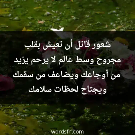 شعور قاتل أن تعيش بقلب مجروح وسط عالم لا يرحم يزيد من أوجاعك ويضاعف من سقمك ويجتاح لحظات سلامك