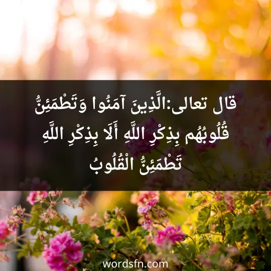 قال -تعالى-: (الَّذِينَ آمَنُوا وَتَطْمَئِنُّ قُلُوبُهُم بِذِكْرِ اللَّهِ أَلَا بِذِكْرِ اللَّهِ تَطْمَئِنُّ الْقُلُوبُ - فن العبارات قال -تعالى-: (الَّذِينَ آمَنُوا وَتَطْمَئِنُّ قُلُوبُهُم بِذِكْرِ اللَّهِ أَلَا بِذِكْرِ اللَّهِ تَطْمَئِنُّ الْقُلُوبُ