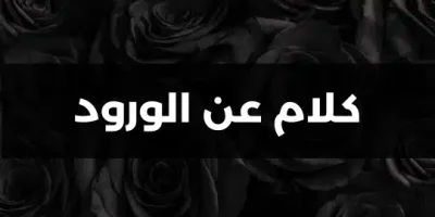 كلام عن الورود
