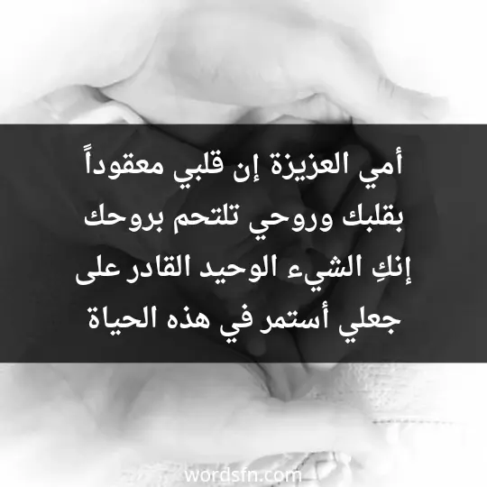 أمي العزيزة، إن قلبي معقوداً بقلبك، وروحي تلتحم بروحك، إنكِ الشيء الوحيد القادر على جعلي أستمر في هذه الحياة