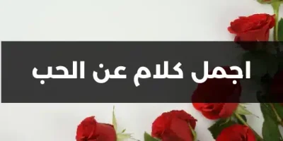 اجمل كلام عن الحب