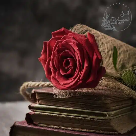 ظاهرة العفة في الشعر الاموي وضعية نقدية ظاهرة العفة وضعية نقدية ظاهرة العفة في الشعر الأموي