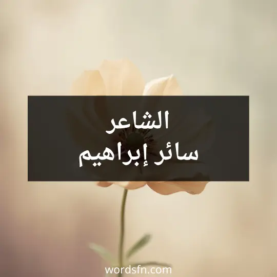 الشاعر سائر إبراهيم