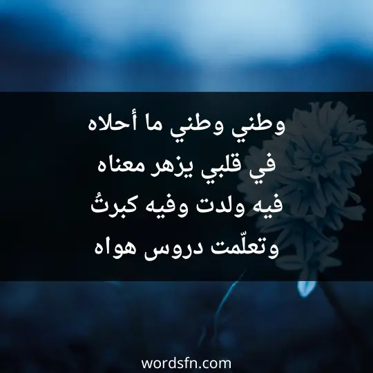 وطني وطني ما أحلاه في قلبي يزهر معناه فيه ولدت وفيه كبرتُ وتعلّمت دروس هواه - فن العبارات وطني وطني ما أحلاه في قلبي يزهر معناه فيه ولدت وفيه كبرتُ وتعلّمت دروس هواه