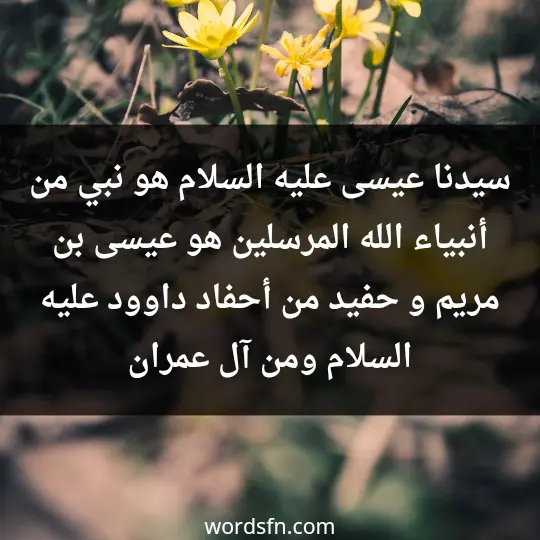 سيدنا عيسى عليه السلام هو نبي من أنبياء الله المرسلين هو عيسى بن مريم و حفيد من أحفاد داوود عليه السلام ومن آل عمران