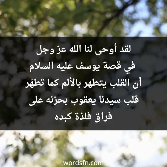 قصة يوسف عليه السلام قصة سيدنا يوسف عليه السلام كاملة لقد أوحى لنا الله عز وجل في قصة يوسف عليه السلام. أن القلب يتطهر بالألم كما تطهّر قلب سيدنا يعقوب بحزنه على فراق فلذة كبده