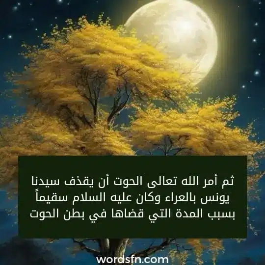 .أمر الله تعالى الحوت أن يقذف سيدنا يونس بالعراء وكان عليه السلام سقيماً بسبب المدة التي قضاها في بطن الحوت.