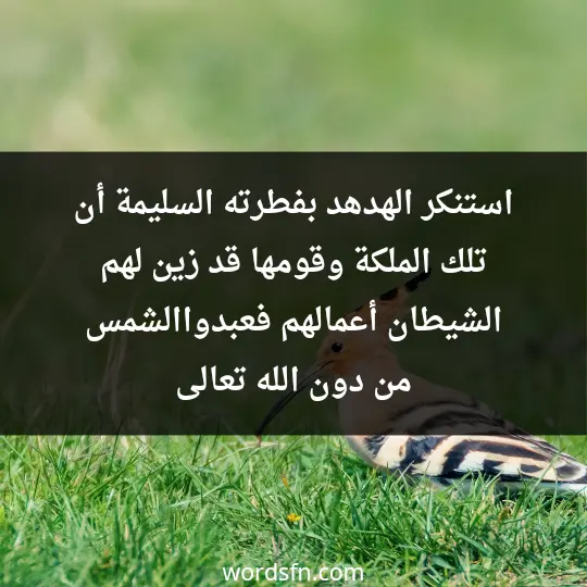 استنكر الهدهد بفطرته السليمة أن تلك الملكة وقومها قد زين لهم الشيطان أعمالهم فعبدواالشمس من دون الله تعالى