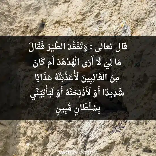 وَتَفَقَّدَ الطَّيْرَ فَقَالَ مَا لِيَ لَا أَرَى الْهُدْهُدَ أَمْ كَانَ مِنَ الْغَائِبِينَ ، لَأُعَذِّبَنَّهُ عَذَابًا شَدِيدًا أَوْ لَأَذْبَحَنَّهُ أَوْ لَيَأْتِيَنِّي بِسُلْطَانٍ مُّبِينٍ