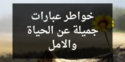 خواطر عبارات جميلة عن الحياة والامل