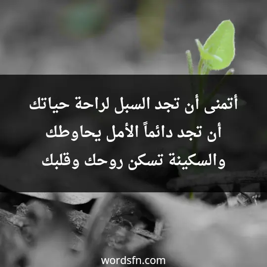 أتمنى أن تجد السبل لراحة حياتك، أن تجد دائماً الأمل يحاوطك، والسكينة تسكن روحك وقلبك