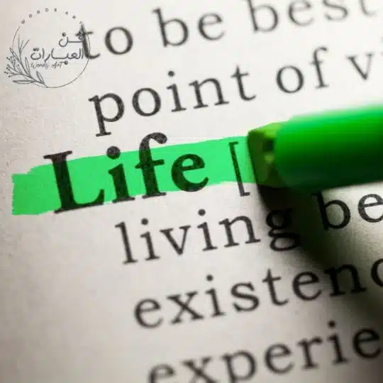 عبارات عن الحياة تويتر