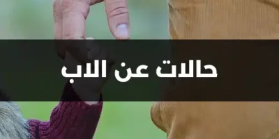 حالات عن الاب