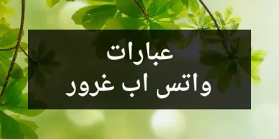 عبارات واتس اب غرور