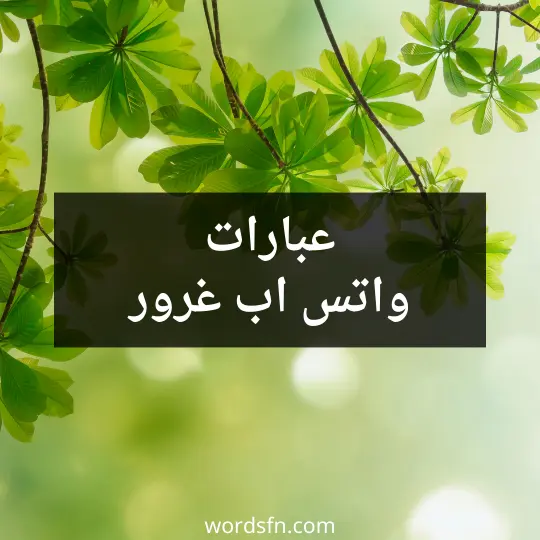 عبارات واتس اب غرور