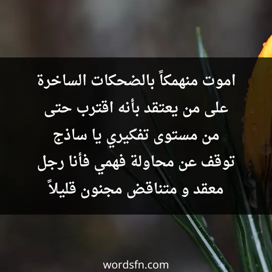 اموت منهمكاً بالضحكات الساخرة ..على من يعتقد بأنه اقترب حتى من مستوى تفكيري .. يا ساذج .. توقف عن محاولة فهمي .. فأنا رجل معقد و متناقض ، مجنون قليلاً - فن العبارات اموت منهمكاً بالضحكات الساخرة ..على من يعتقد بأنه اقترب حتى من مستوى تفكيري .. يا ساذج .. توقف عن محاولة فهمي .. فأنا رجل معقد و متناقض ، مجنون قليلاً