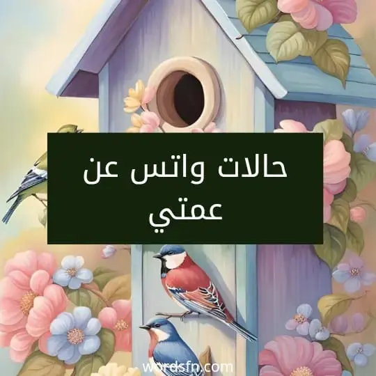 حالات واتس عن عمتي