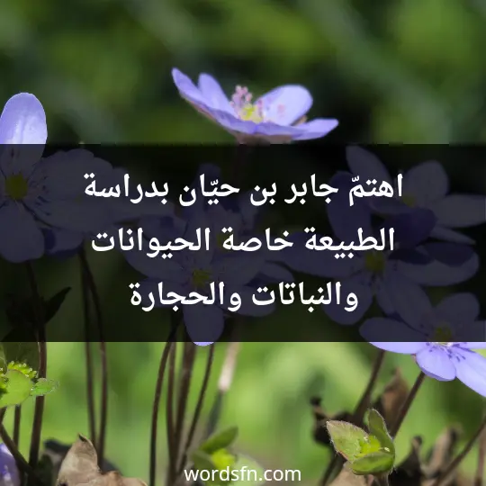 اهتمّ جابر بن حيّان بدراسة الطبيعة، خاصة الحيوانات، والنباتات، والحجارة