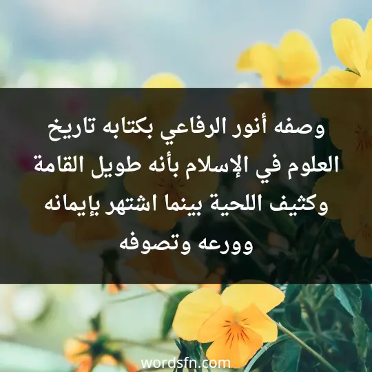 وصفه أنور الرفاعي بكتابه تاريخ العلوم في الإسلام بأنه طويل القامة وكثيف اللحية، بينما اشتهر بإيمانه وورعه وتصوفه