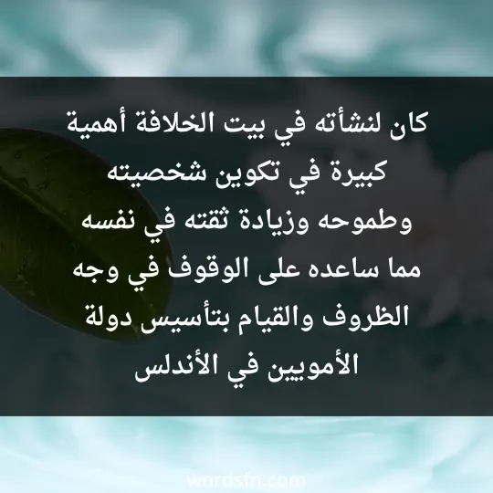 كان لنشأته في بيت الخلافة أهمية كبيرة في تكوين شخصيته وطموحه وزيادة ثقته في نفسه . مما ساعده على الوقوف في وجه الظروف والقيام بتأسيس دولة الأمويين في الأندلس