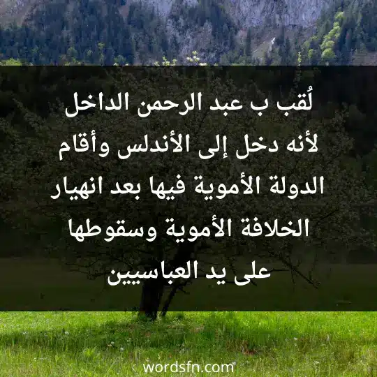 لُقب ب عبد الرحمن الداخل لأنه دخل إلى الأندلس وأقام الدولة الأموية فيها ،بعد انهيار الخلافة الأموية وسقوطها على يد العباسيين