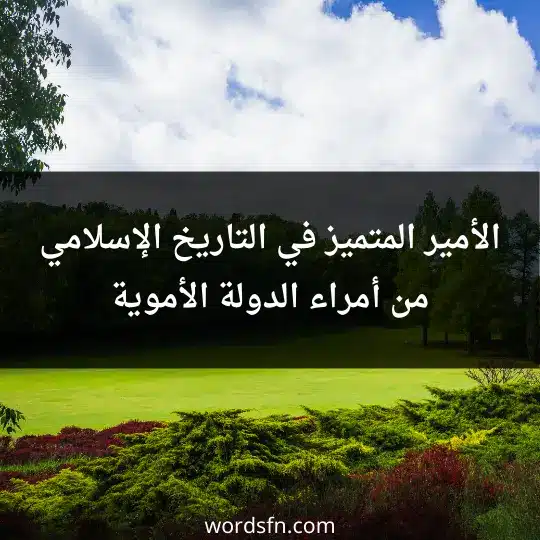 الأمير المتميز في التاريخ الإسلامي.من أمراء الدولة الأموية ،