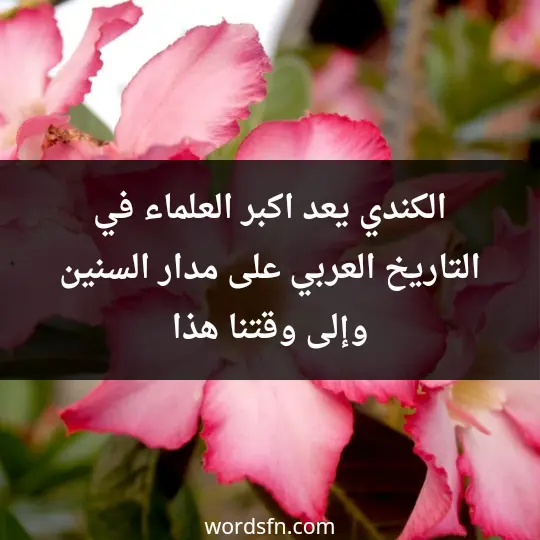 الكندي يعد اكبر العلماء في التاريخ العربي على مدار السنين وإلى وقتنا هذا