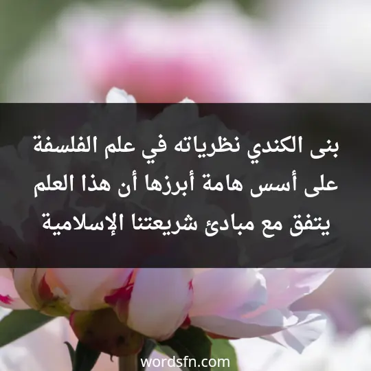 بنى الكندي نظرياته في علم الفلسفة على أسس هامة. أبرزها أن هذا العلم يتفق مع مبادئ شريعتنا الإسلامية