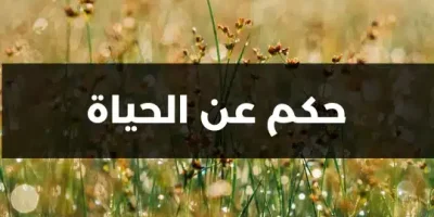 حكم عن الحياة