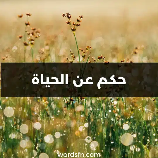 حكم عن الحياة