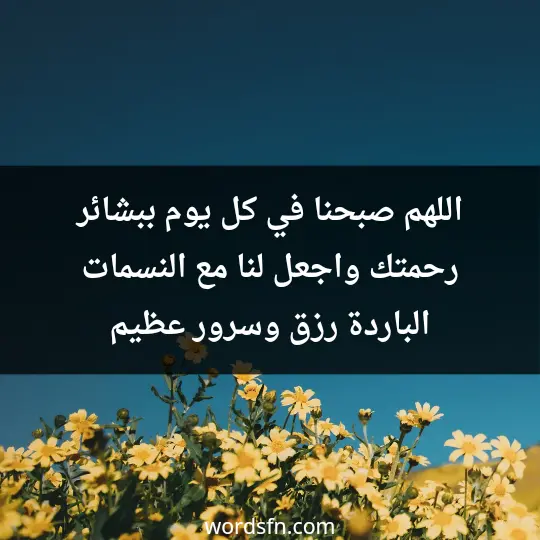 اللهم صبحنا في كل يوم ببشائر رحمتك واجعل لنا مع النسمات الباردة رزق وسرور عظيم
