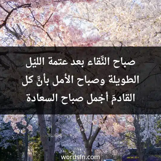 صباح النَّقاء بعد عتمة الليْل الطويلة، وصباح الأمل بأنَّ كل القادمَ أجْمل، صباح السعادة