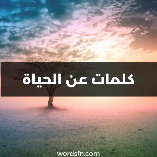كلمات عن الحياة